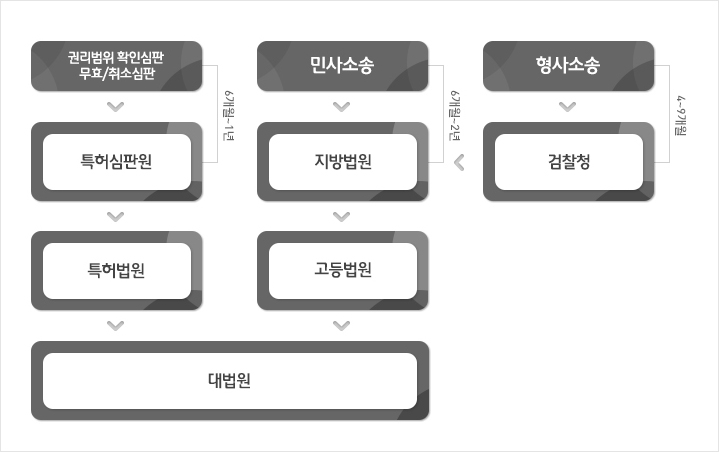 침해소송과정 표